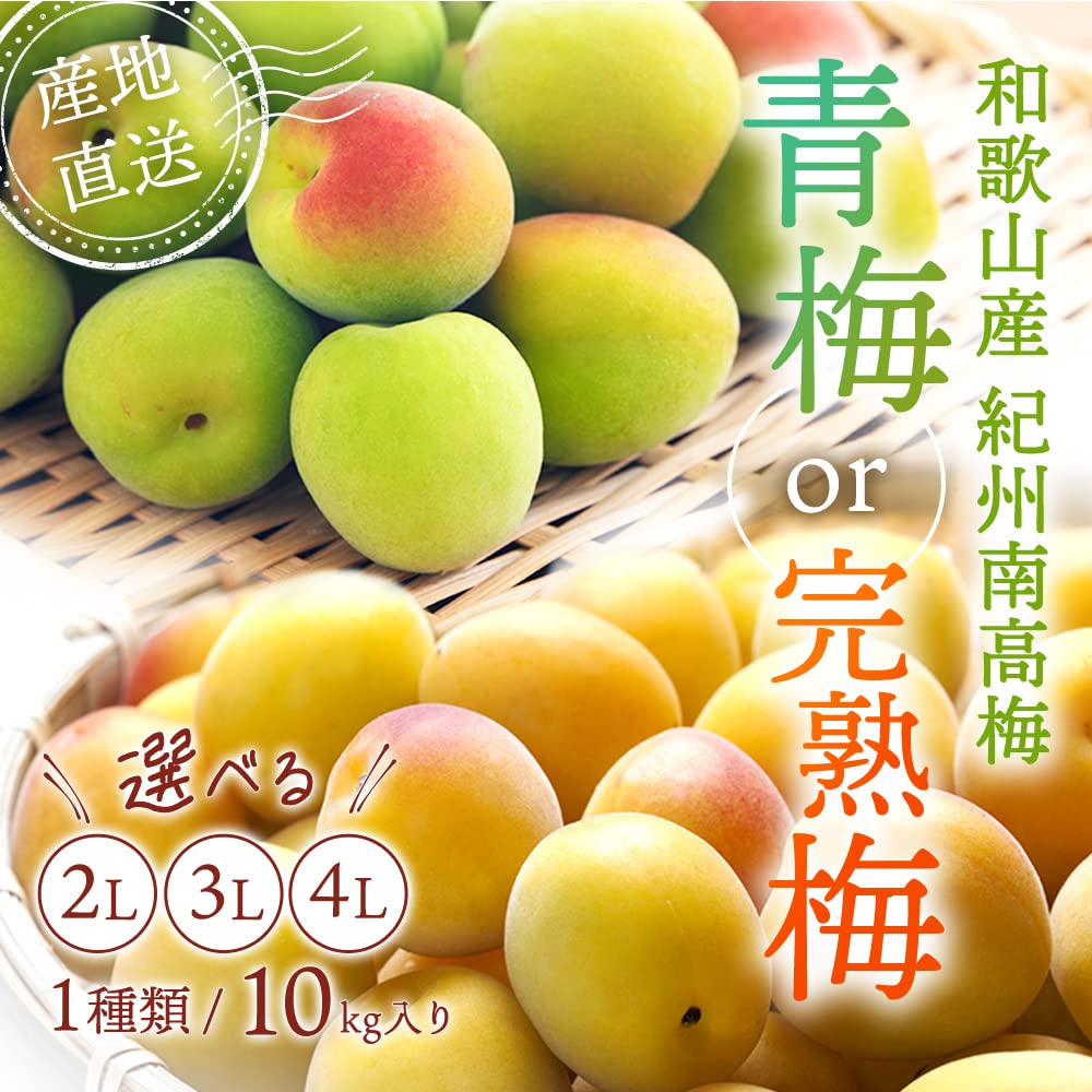 メイリン 様 専用‼️完熟南高梅 10kg ×40kg 和歌山県産 camping.com